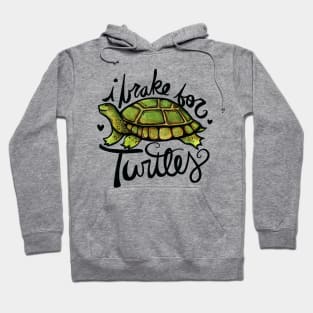 I brake for Turtles Hoodie